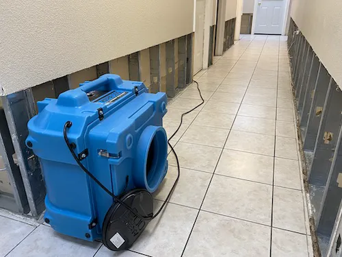 Swift Restoration Picture 9