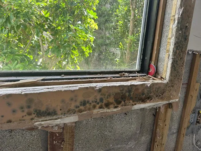 Magic Mold Fire Restoration of Miami Picture 2