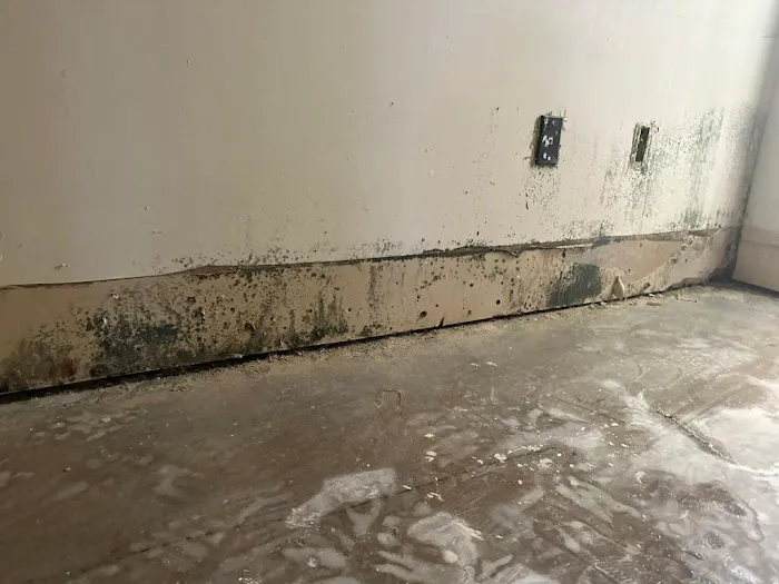 Magic Mold Fire Restoration of Miami Picture 3