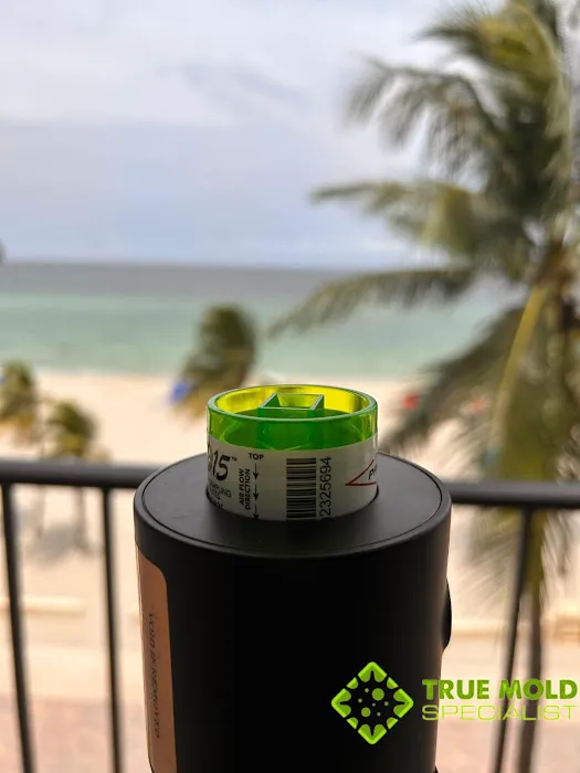 Magic Mold Fire Restoration of Miami Picture 7