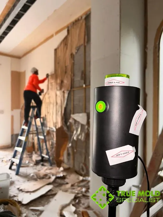 Magic Mold Fire Restoration of Miami Picture 5