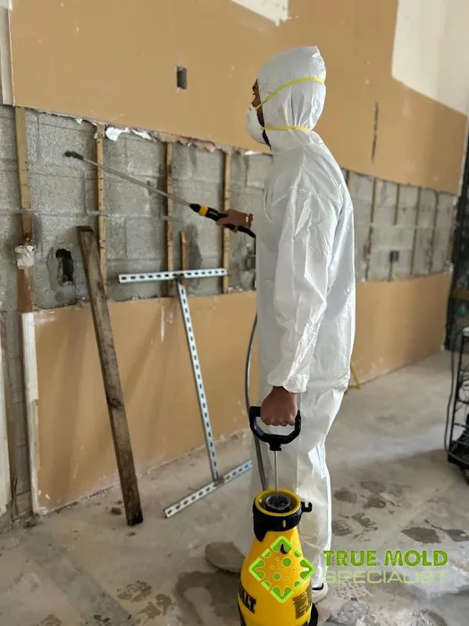 Magic Mold Fire Restoration of Miami Picture 8