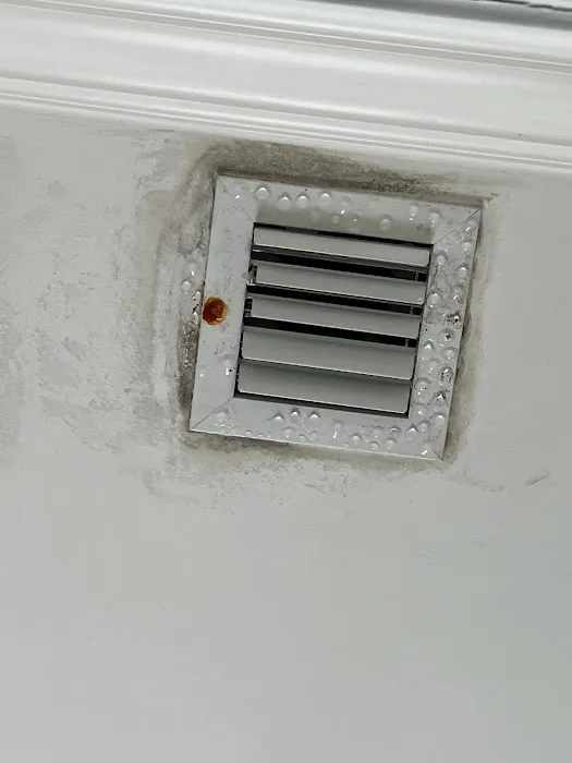 Magic Mold Fire Restoration of Miami Picture 10