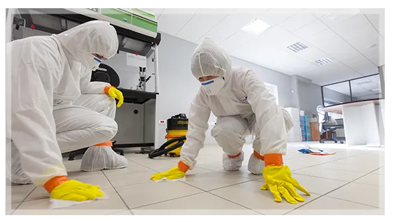 24/7 Restoration Pro Picture 9