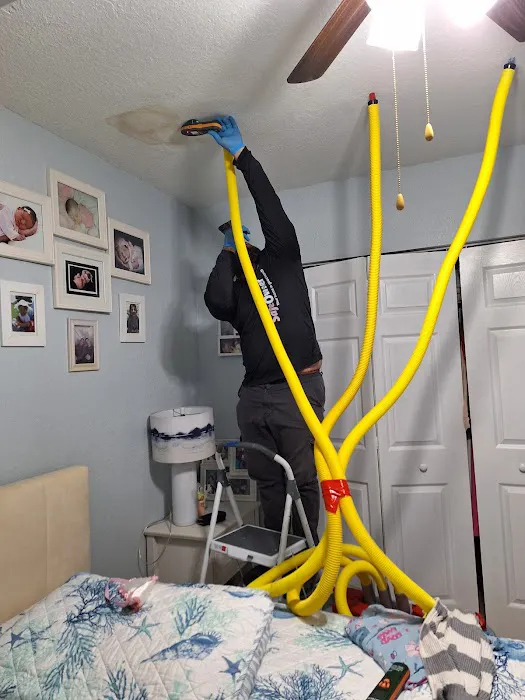 SafeOwner: Safe Owner Picture 1