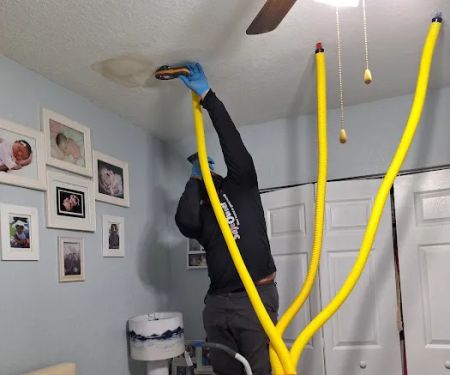 SafeOwner: Safe Owner