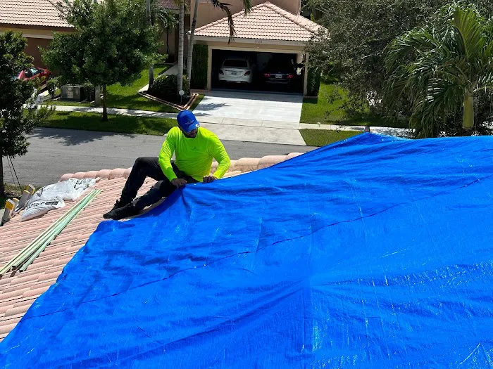 Easy Tarp & Restoration Picture 1