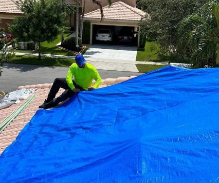 Easy Tarp & Restoration