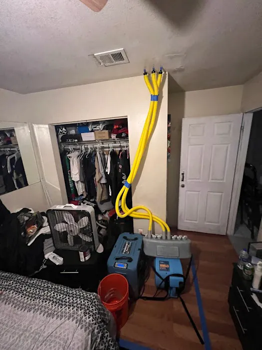 Easy Tarp & Restoration Picture 2