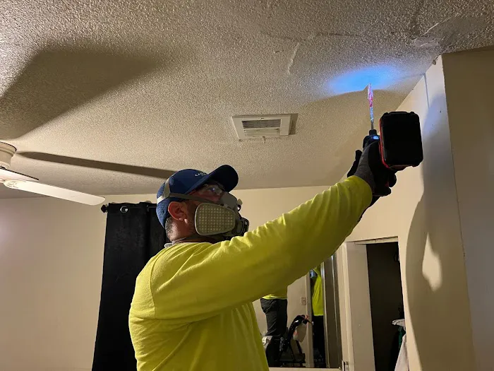 Easy Tarp & Restoration Picture 3