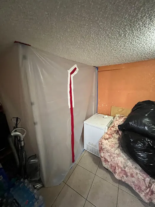 Easy Tarp & Restoration Picture 7