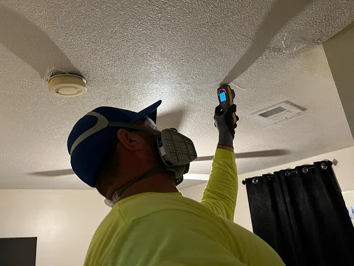 Easy Tarp & Restoration Picture 8