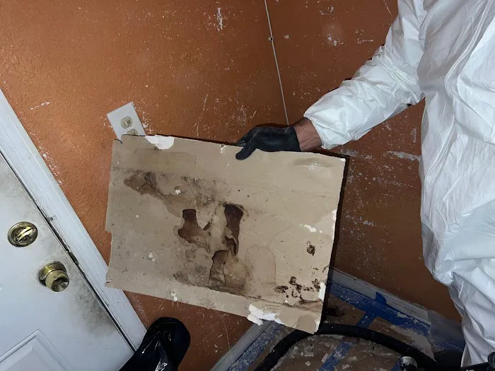 Easy Tarp & Restoration Picture 9