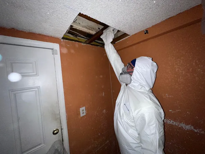 Easy Tarp & Restoration Picture 10