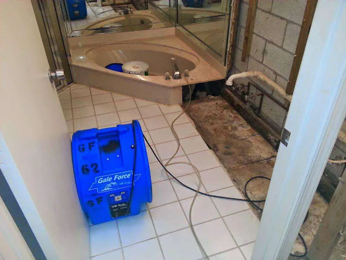 Damage Restore LLC Picture 6