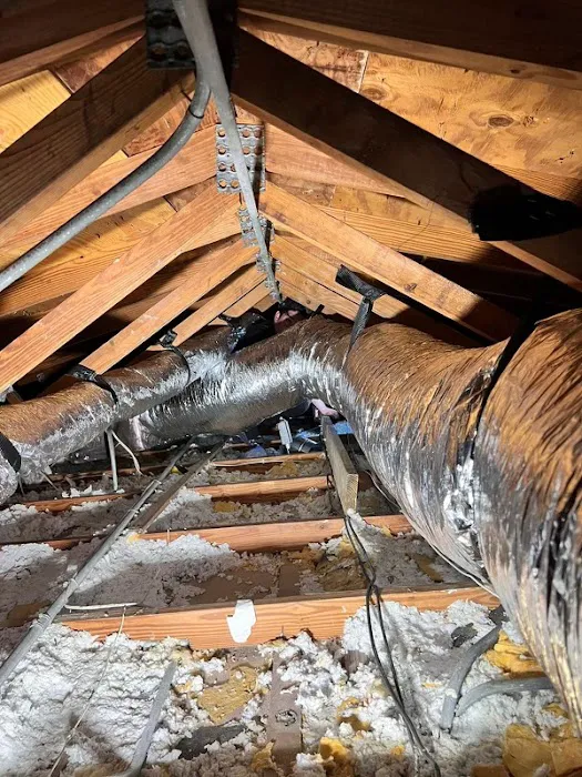 Cleanability Restoration Picture 1