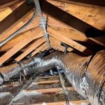 Cleanability Restoration