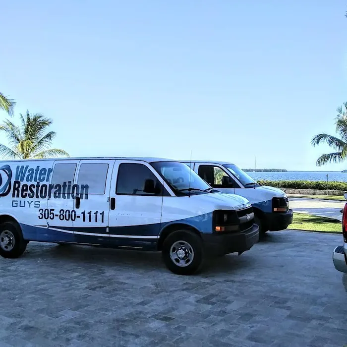 Water Restoration Guys Picture 2