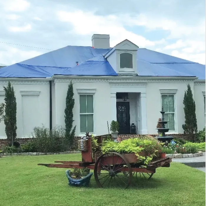 Supreme CG Picture 1