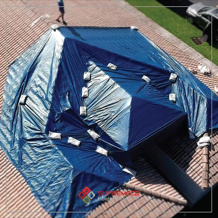 Supreme CG Picture 4