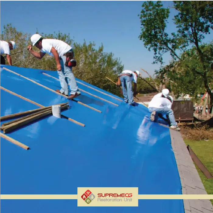 Supreme CG Picture 5