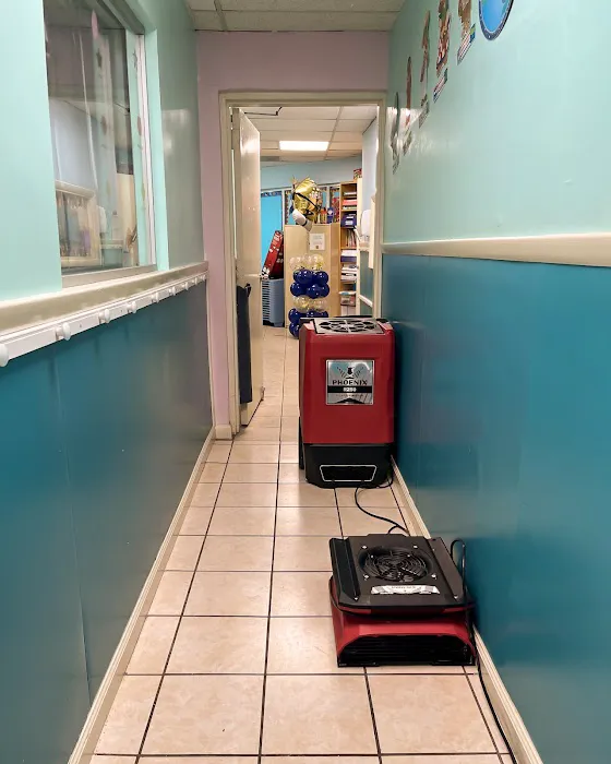 Frontline Restoration Picture 4