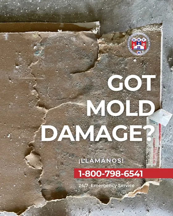 Disaster Recovery Team Inc Picture 7