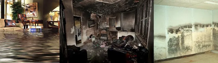 FullTime Restoration Picture 4