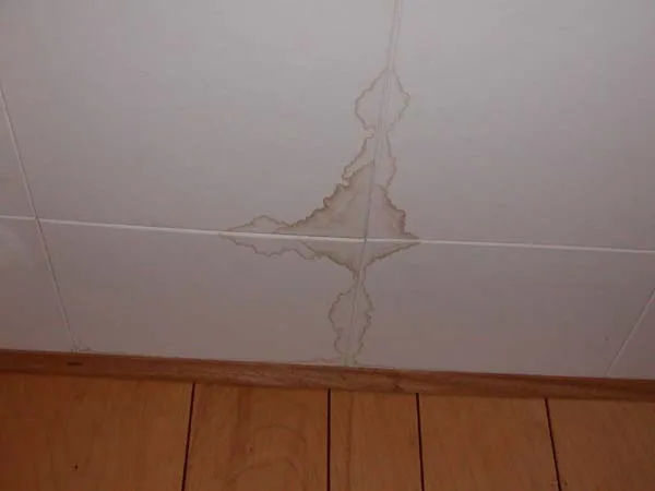 FullTime Restoration Picture 8