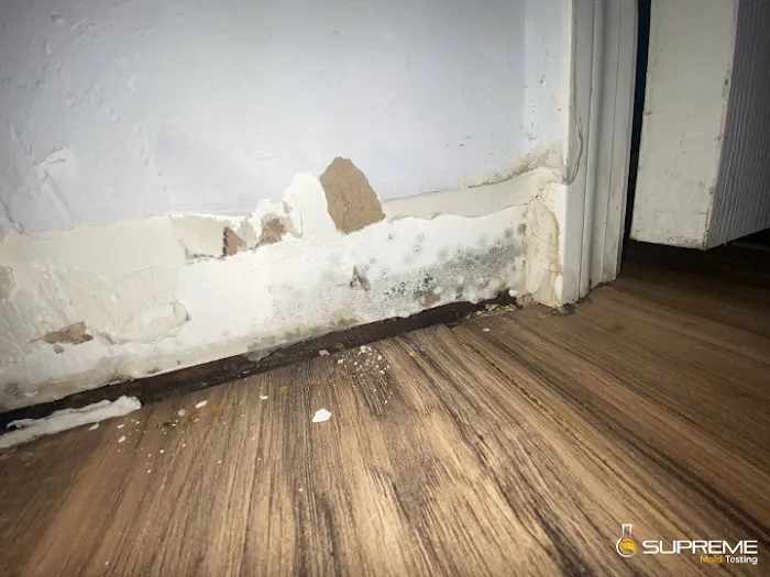 Supreme Mold Testing LLC. Picture 4