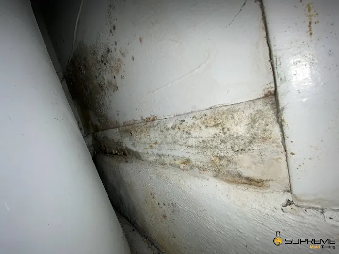 Supreme Mold Testing LLC. Picture 9