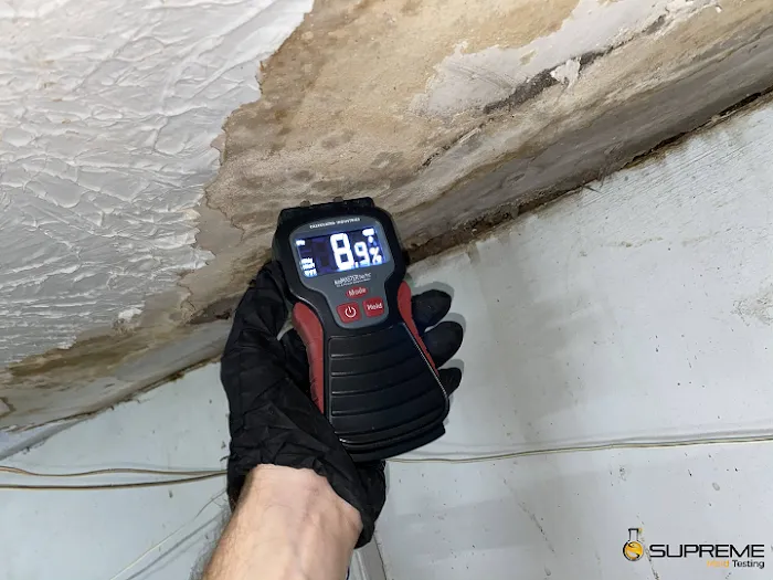 Supreme Mold Testing LLC. Picture 8