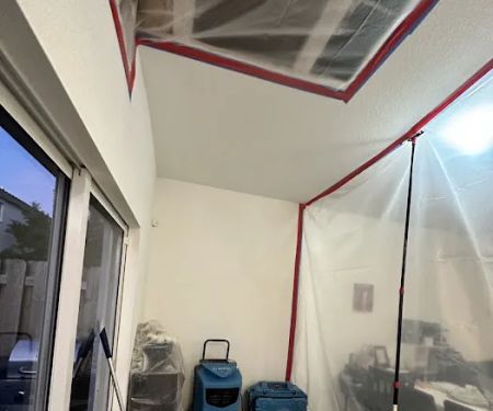 Mold Remediation Services of Florida