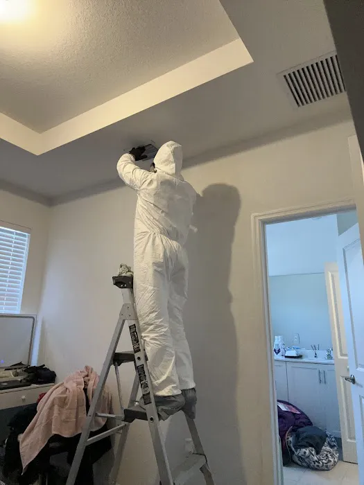 Mold Remediation Services of Florida Picture 3