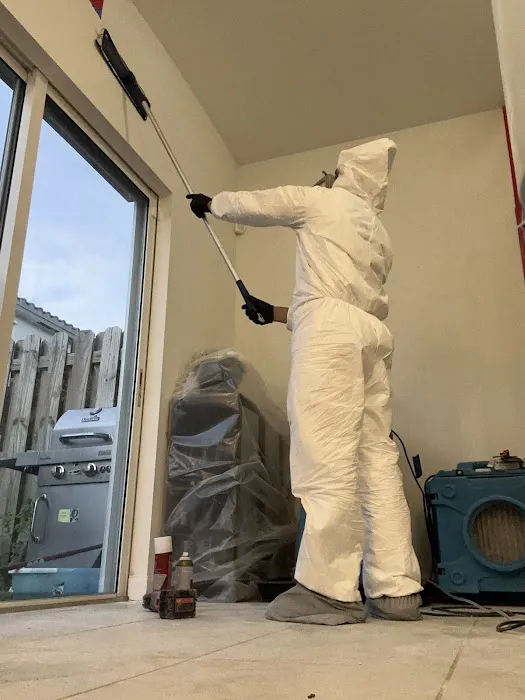 Mold Remediation Services of Florida Picture 4