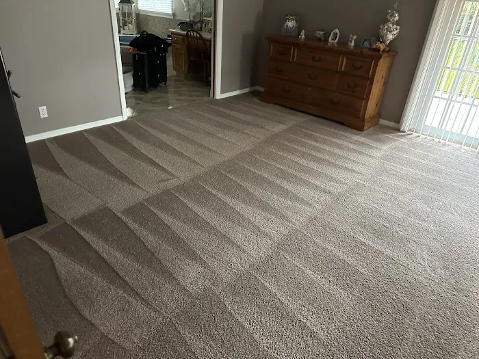 Palmetto Bay Carpet Cleaning & Water Damage Service Picture 2