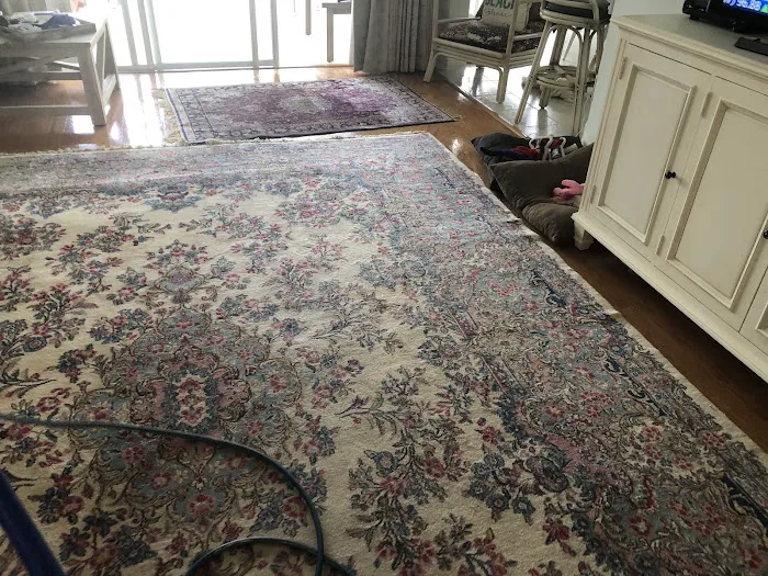 Palmetto Bay Carpet Cleaning & Water Damage Service Picture 3