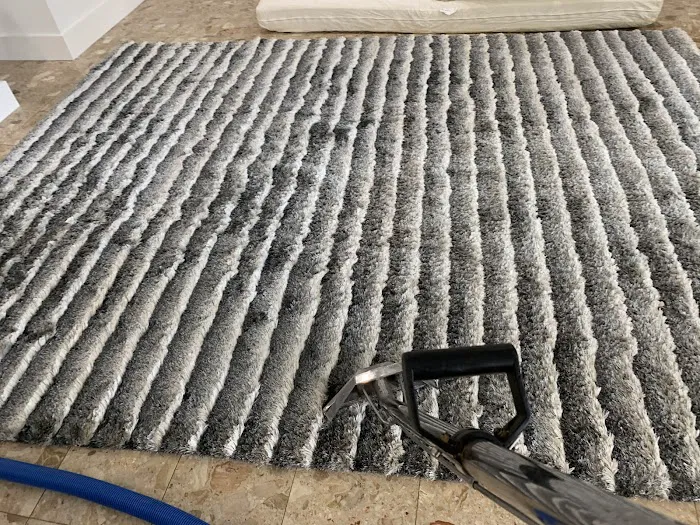 Palmetto Bay Carpet Cleaning & Water Damage Service Picture 4