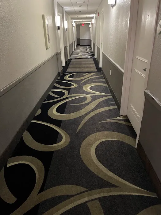 Palmetto Bay Carpet Cleaning & Water Damage Service Picture 8