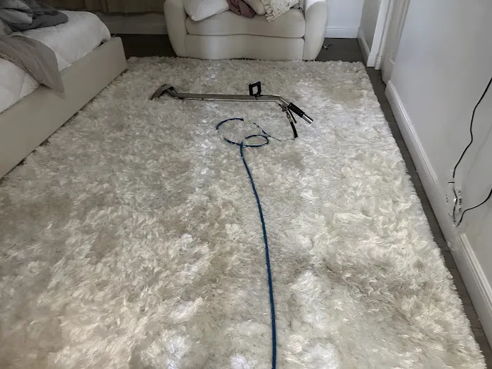 Palmetto Bay Carpet Cleaning & Water Damage Service Picture 7