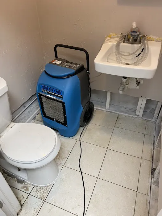 A1 Mold Remediation LLC Picture 3