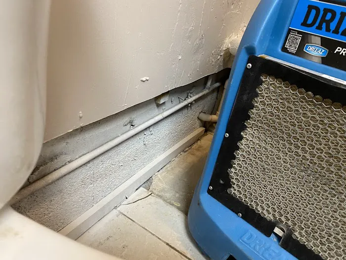 A1 Mold Remediation LLC Picture 2