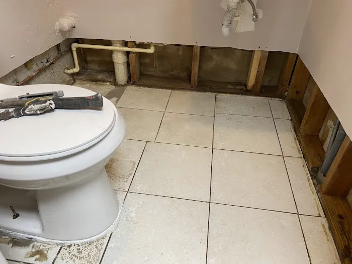 A1 Mold Remediation LLC Picture 1