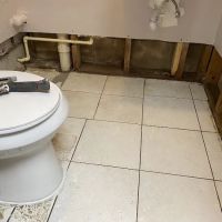 A1 Mold Remediation LLC ico