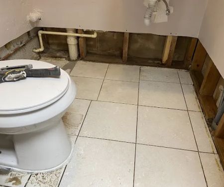 A1 Mold Remediation LLC