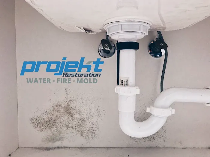 Projekt Property Restoration Inc. Picture 1