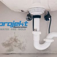 Projekt Property Restoration Inc. ico