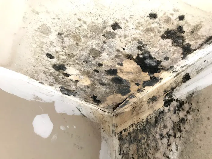 Projekt Property Restoration Inc. Picture 5