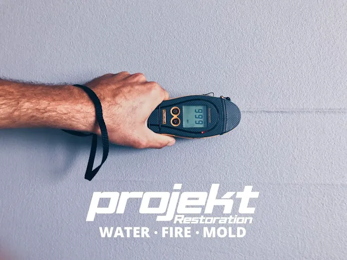 Projekt Property Restoration Inc. Picture 3