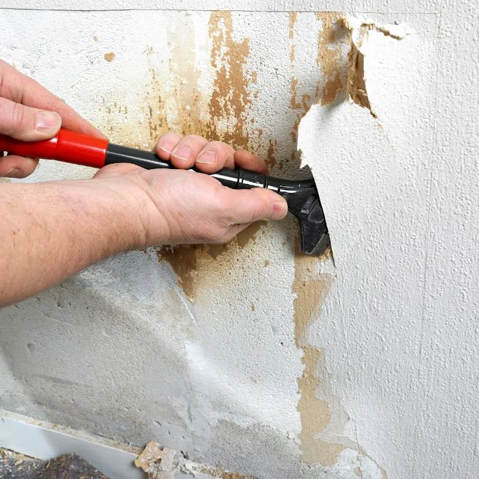 WATER TECH RESTORATION, LLC Picture 3